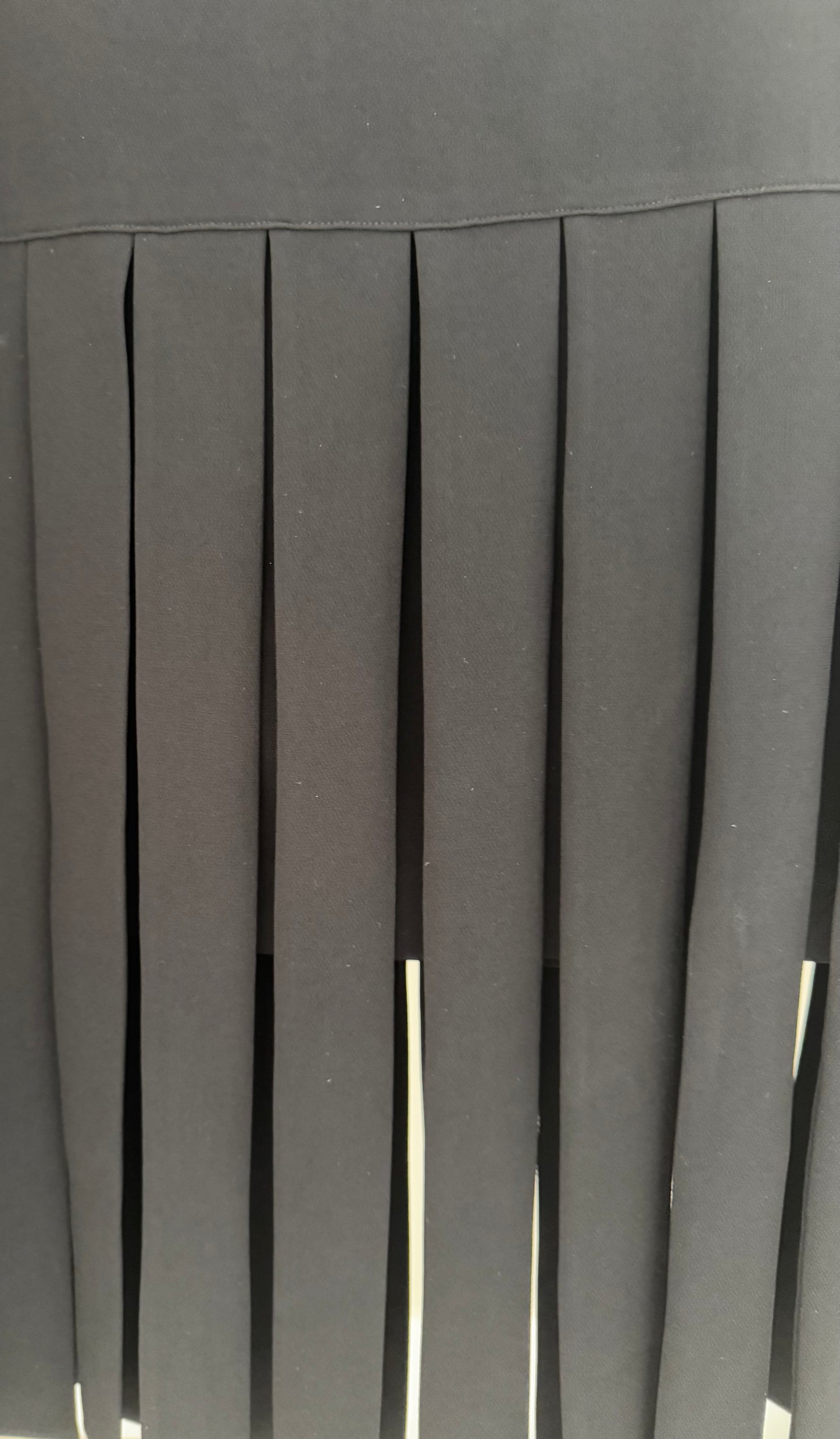 TRELISE COOPER Black Skirt