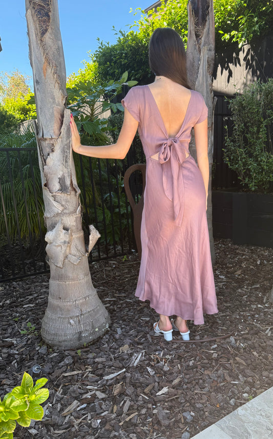 BLAK LUXE Pink Floor Length Dress/Gown