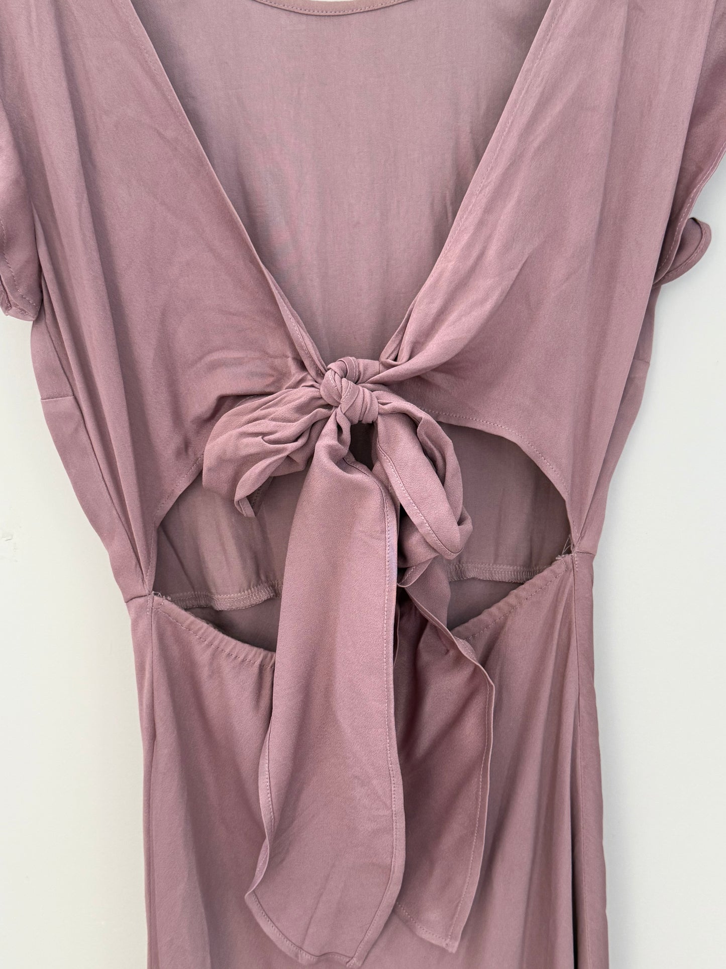 BLAK LUXE Pink Floor Length Dress/Gown